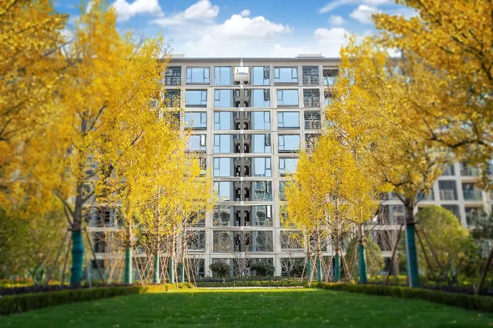 美好恰逢其时 | 2020绿城再逢烟台,美好向"心"而生