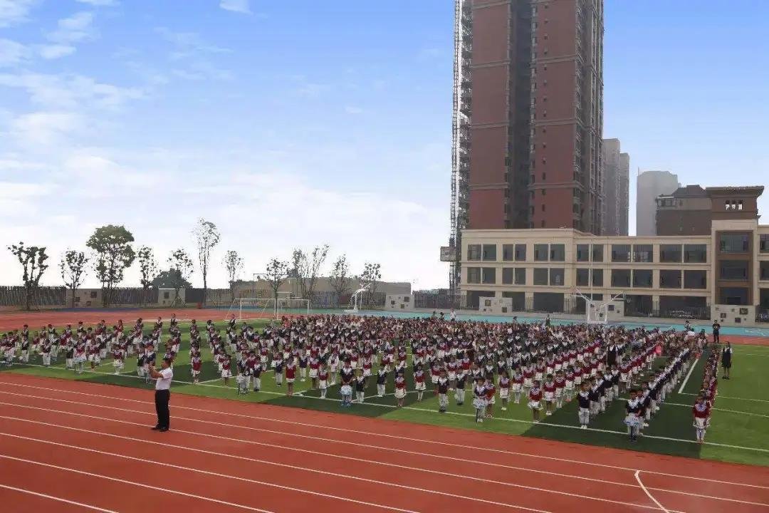 岳麓青城露天电影季 | 本周精彩节目预告