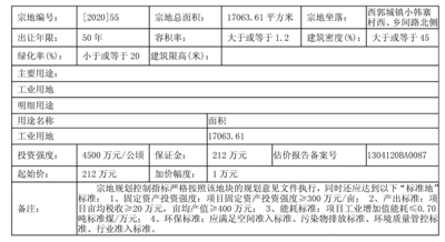 巨鹿县自然资源局拍卖出让2宗国有土地使用权