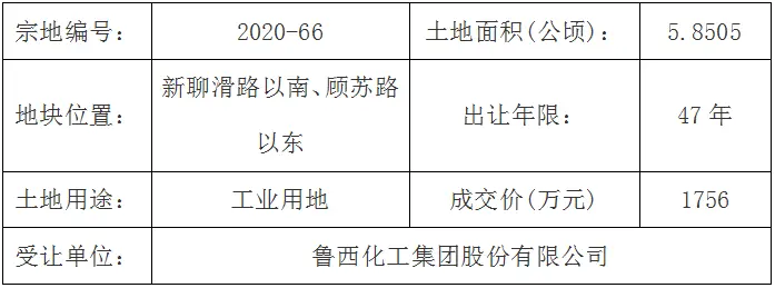 聊自然资规公示字[2020]0802