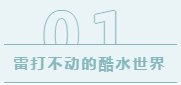 你湿身！我负责！【云星城】首届造浪节来袭！超600㎡大型水上乐园空降零陵！