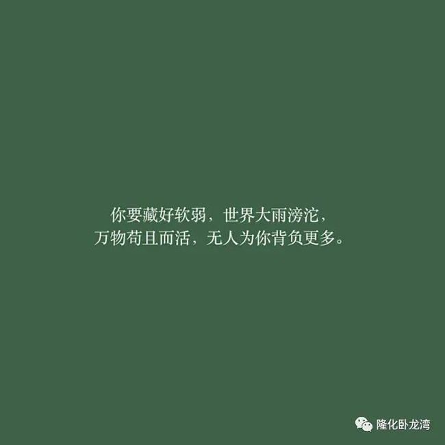 盘点“网易云”扎心热评