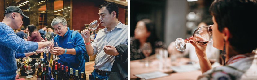 怀来见！2020中国·怀来国际葡萄酒博览会即将开幕