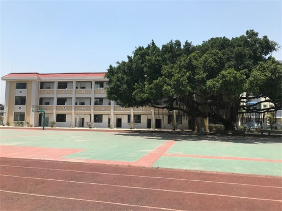 超多学位 | 芗城区西部片区7所小学3所幼儿园集中开工！