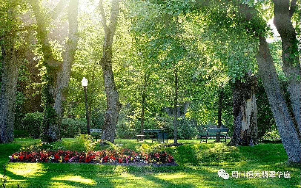 恒大翡翠华庭丨三园环绕绿色生态，打造周口宜居新地标！