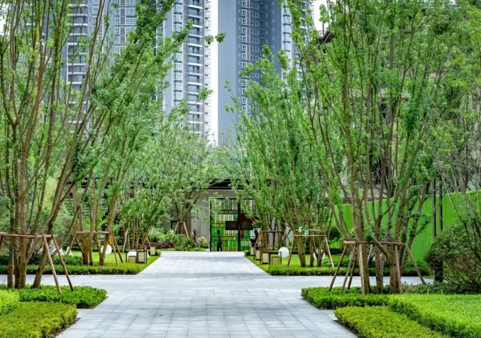 潮起·城新:走进雨花郡,五大亮点首度曝光