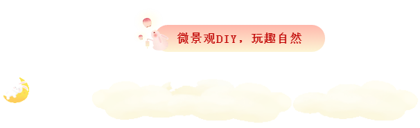 指尖上的中秋 | 月饼、微景观DIY，浓情开启！