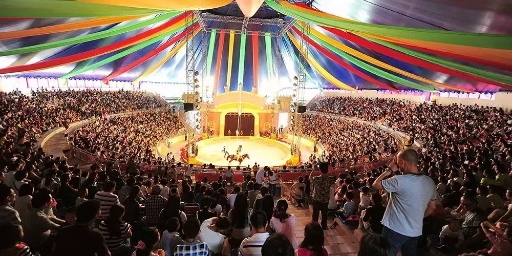 所有人 你有一张皇家马戏团门票待领取!