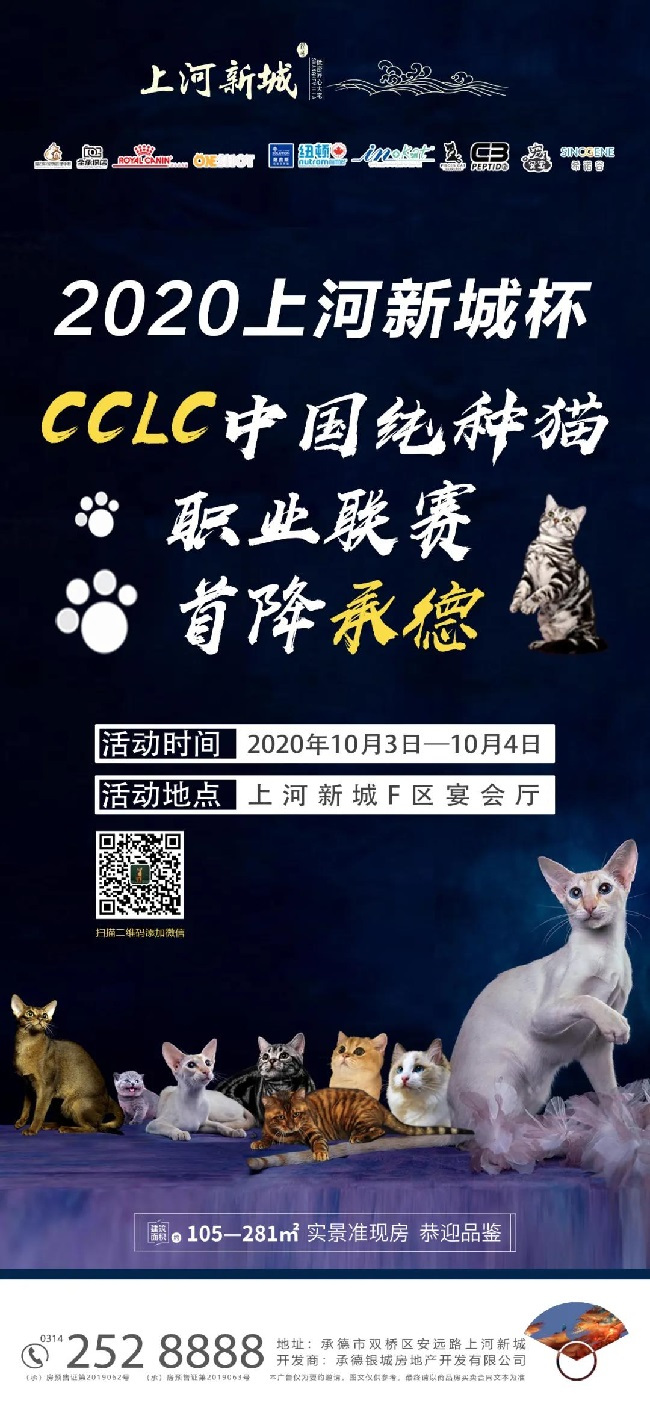 高萌预警！10月3-4日上河新城杯承德首届CCLC中国纯种猫职业联赛等您来！