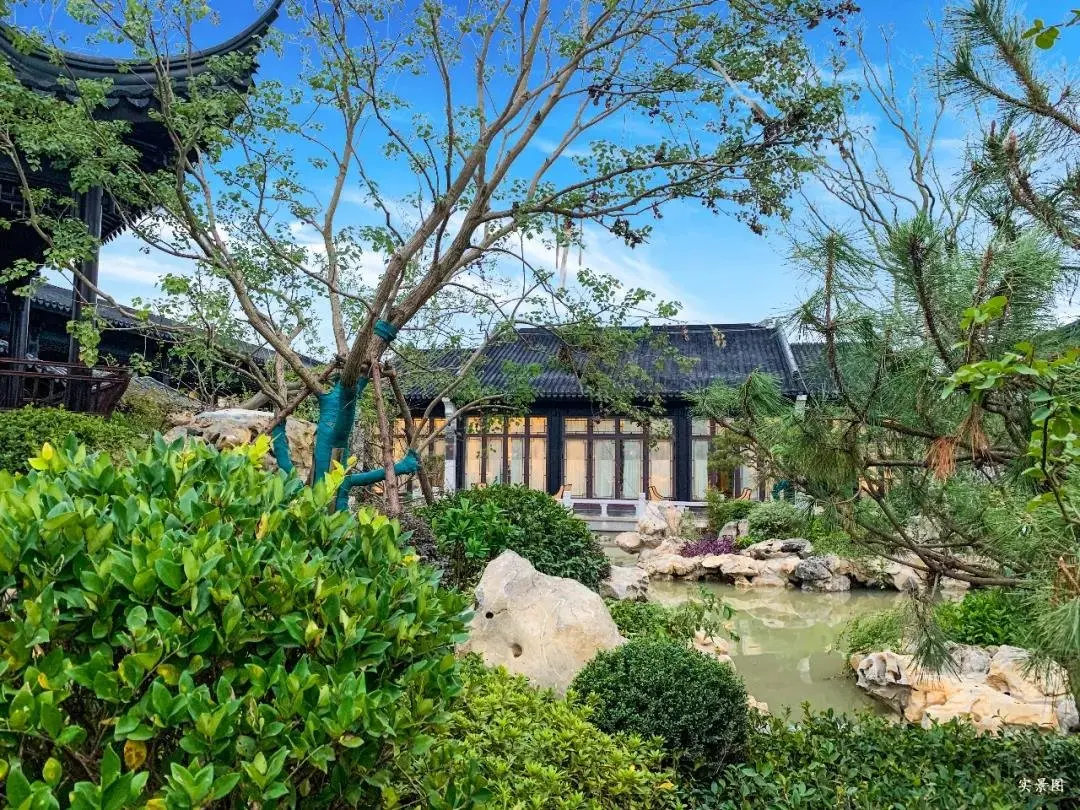 曲池东院实拍图