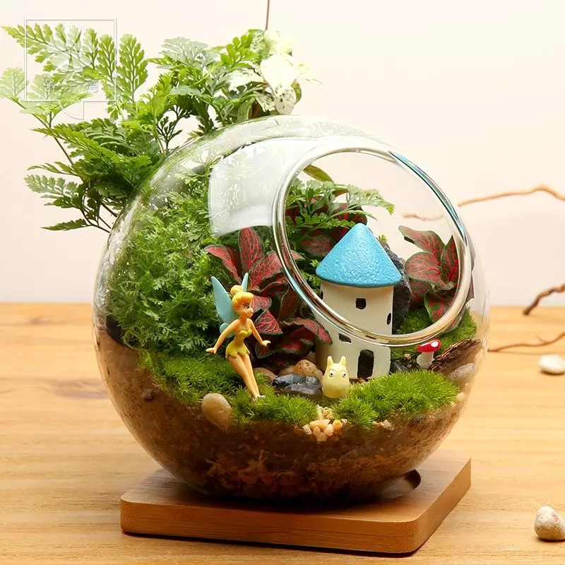 宝红·四季澜庭 | 微景观DIY ，把自然装进瓶子，把快乐留给自己