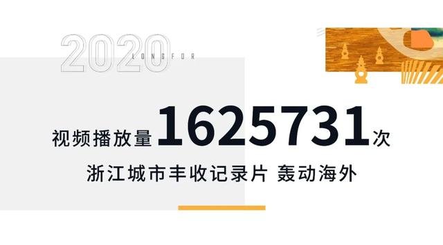 又双叒火了！超3亿关注，浙里正丰收正式收官！