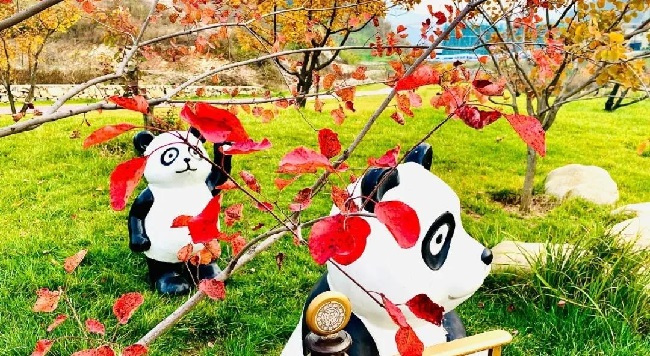 秋游全攻略｜北京东处觅秋景，正是人间好时节！