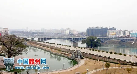 网友建议拓宽南河大桥非机动车道，你怎么看？