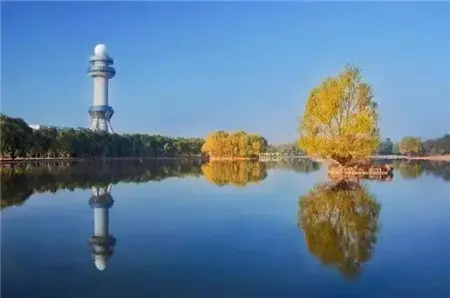 小院·风雅颂丨濮上园景区旁种下的理想国