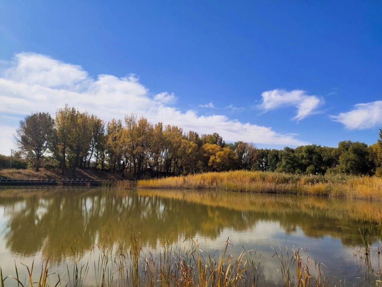 为“怀来速度”点赞 怀来官厅水库国家湿地公园正式开园！