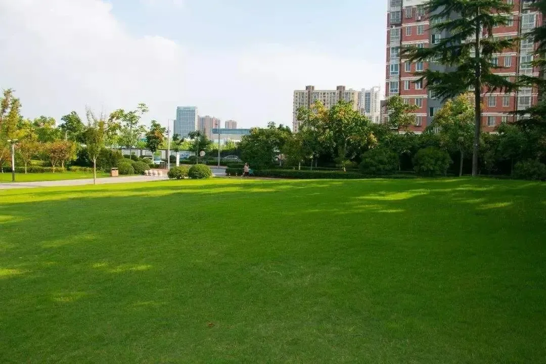 澜石公园火热建设中,这个地方迎来重磅利好!-佛山新房网-房天下