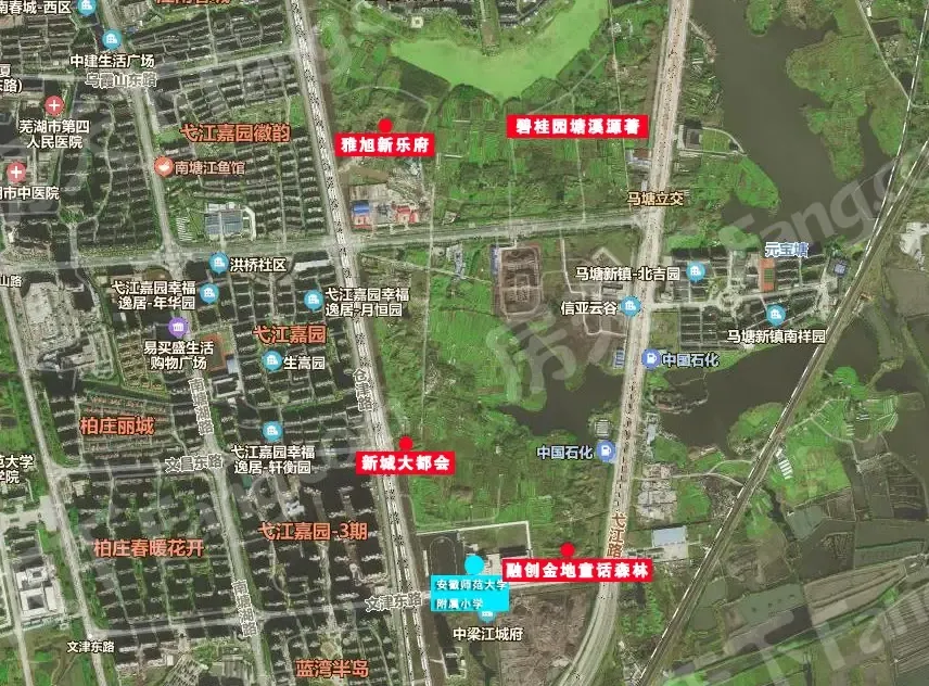 多个热门板块聚集在一起,芜湖这个区域的房子有点牛!