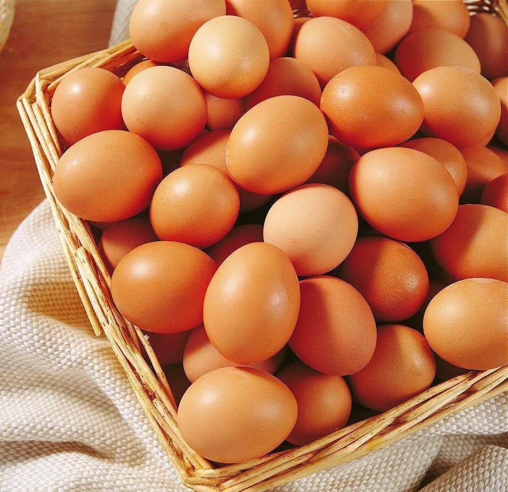 『宇龙地产』重阳活动月，惊喜派礼鸡蛋免费送！