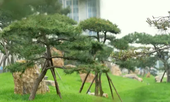 松石景观实景图