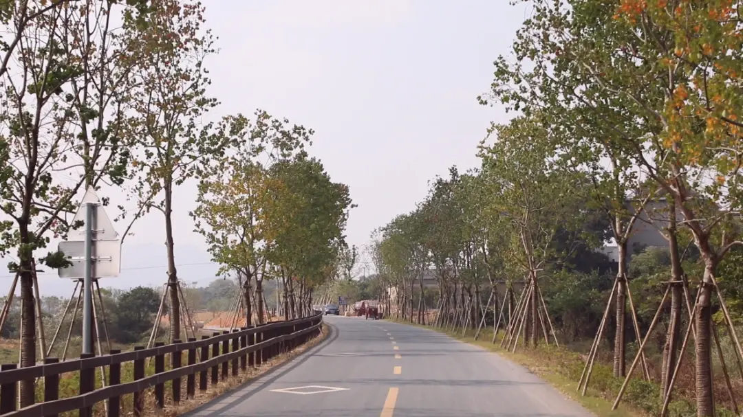 今天起，浮石大桥、水亭门隧道、讲舍街天桥限高管制！最近，这些出行大事→