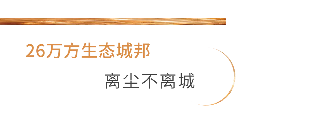 省！省！省！一年一次，双十一购房狂欢节来袭，四重好礼享不停！