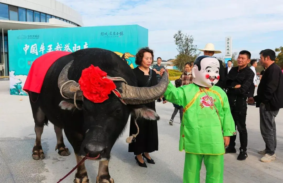 活动|中国牛王载誉归来欢迎仪式圆满举行