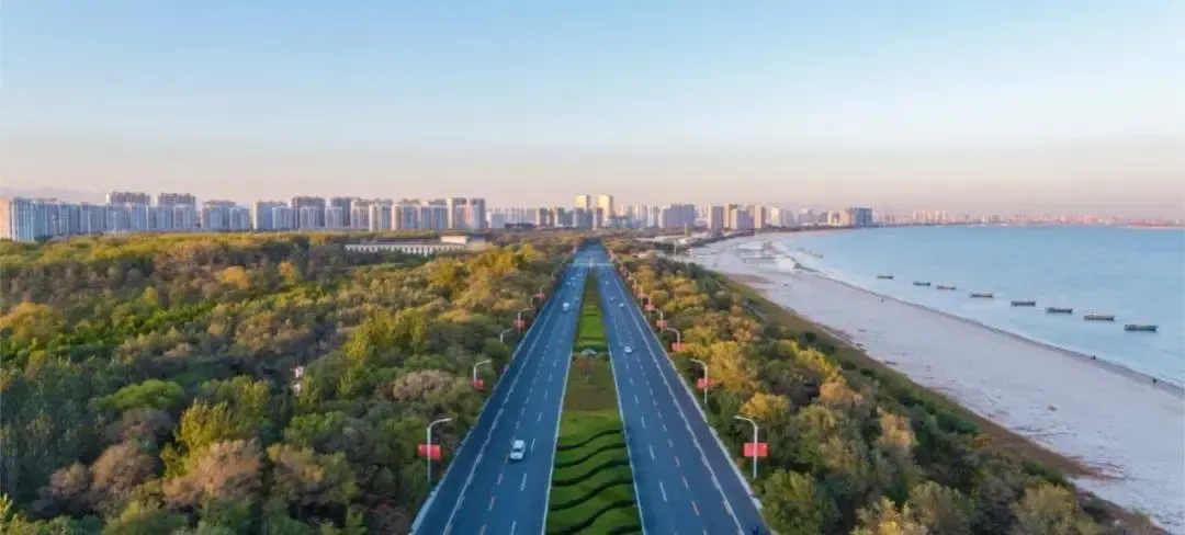 滨海大道实景图@人物志:碧桂园的企业使命是"希望社会因我们的存在而