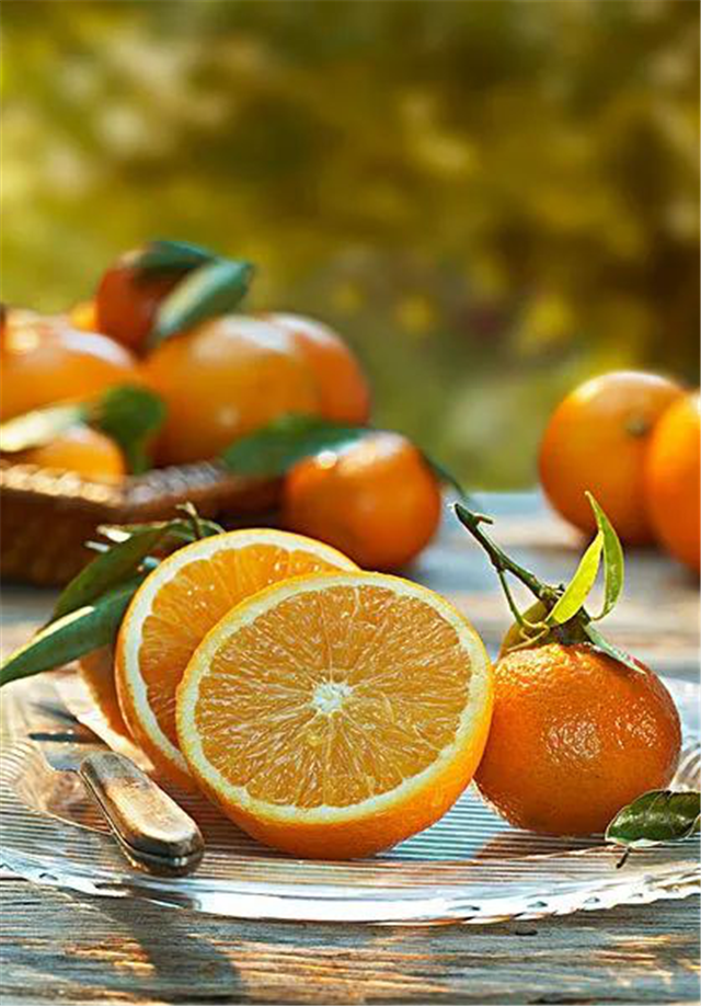 功“橙”名就住花城 全“橙”有礼 美好“橙”墅 满满“橙”意