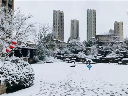 花香四季|择一处园林胜景，漫享新中式风情。