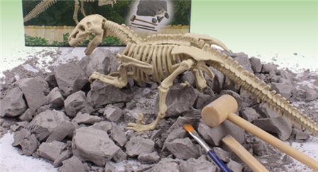 【荣域·欢乐谷】一起来探索侏罗纪时期的恐龙秘密!