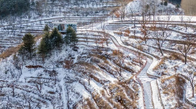 围住幸福，茶语暖心，雪后赏好景，缤纷周末品浓情！