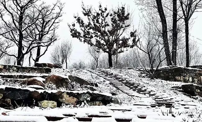 围住幸福，茶语暖心，雪后赏好景，缤纷周末品浓情！