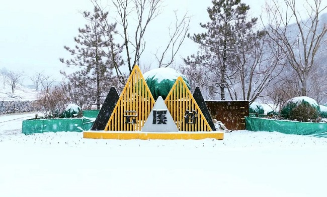 围住幸福，茶语暖心，雪后赏好景，缤纷周末品浓情！