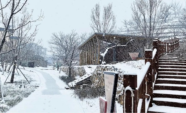 围住幸福，茶语暖心，雪后赏好景，缤纷周末品浓情！