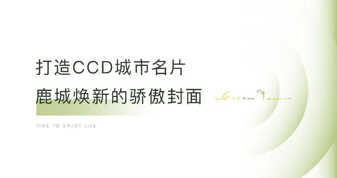 凤起玉鸣丨16年骄傲历程，温州CCD的崛起之路