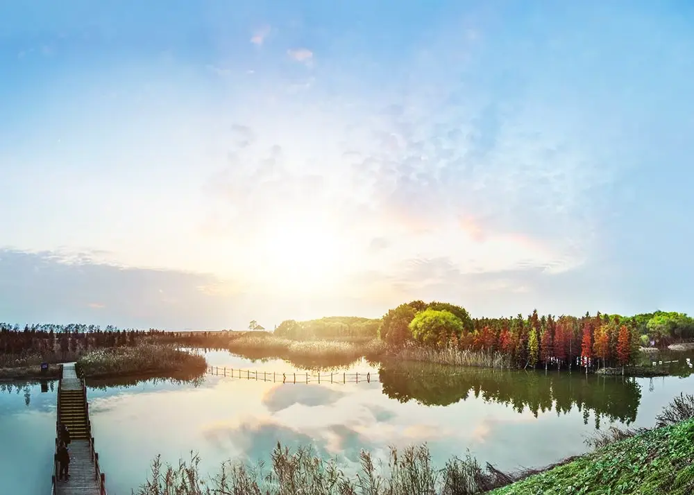 東平國家森林公園是華東地區已形成的平原人工森林,東灘溼地是候鳥的