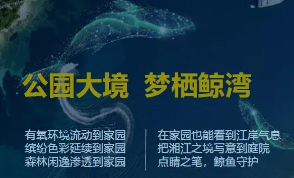 承永州文脉，启繁华未来 | 港联·环球中心品牌发布会圆满落幕