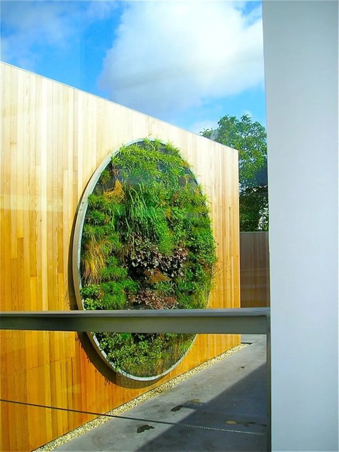 院子里都不流行在地上砌花坛了墙上围个圈种花种草越看越好看