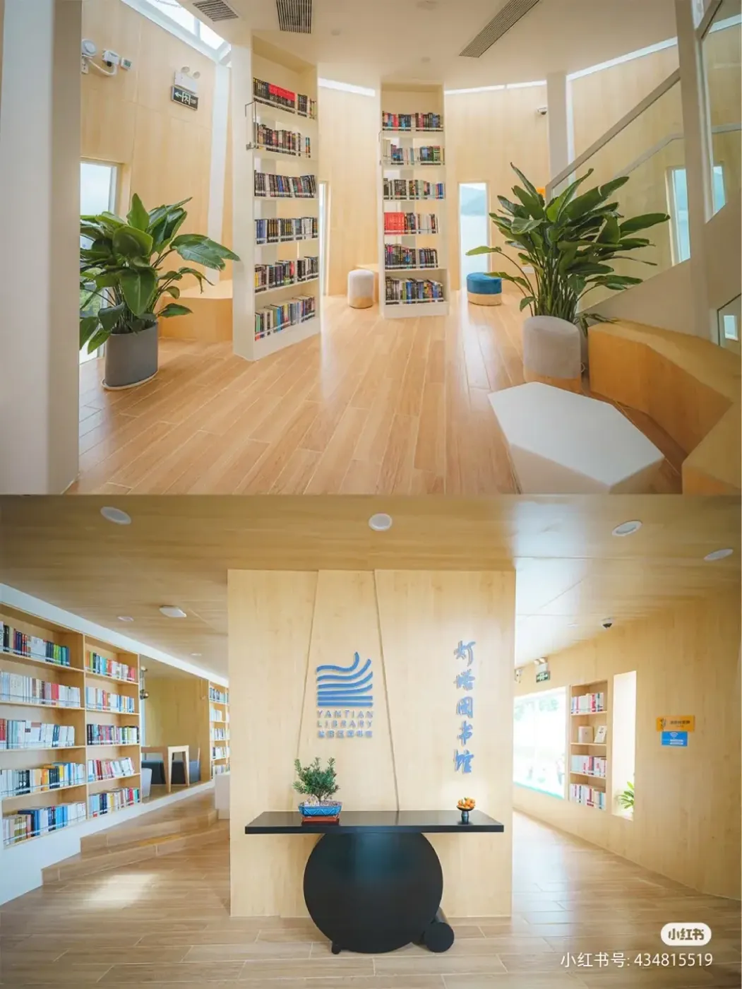 当宫崎骏的动画走进现实盐田醉美图书馆打卡指南