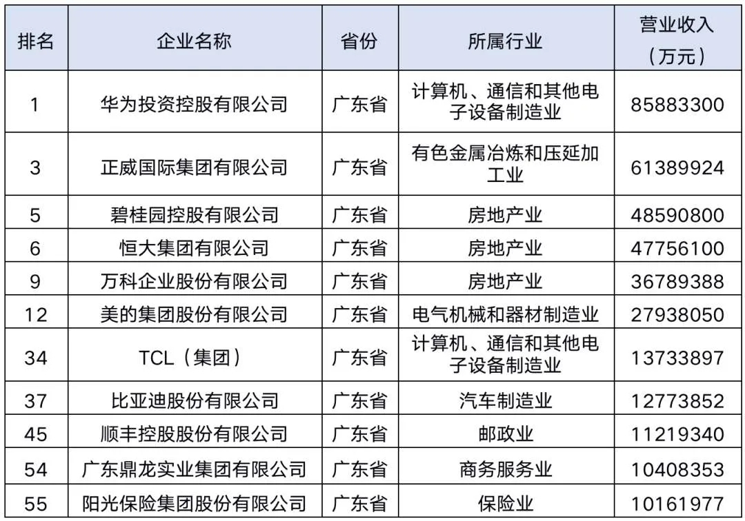 鼎龙集团——中国企业500强