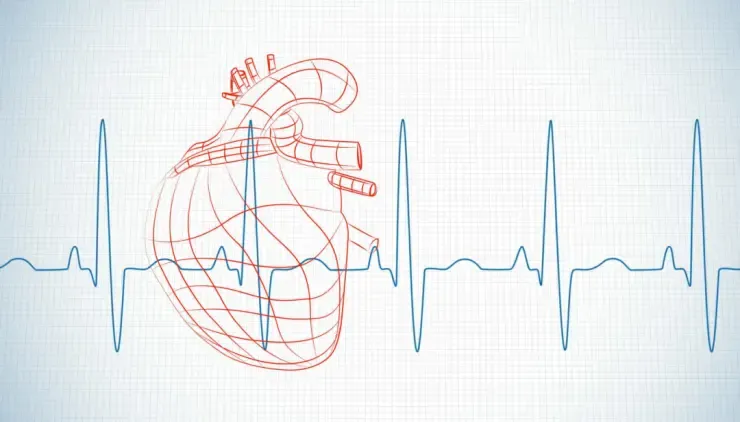 揭秘高铁新城现象级奇绩912km05崛起的城市心脏