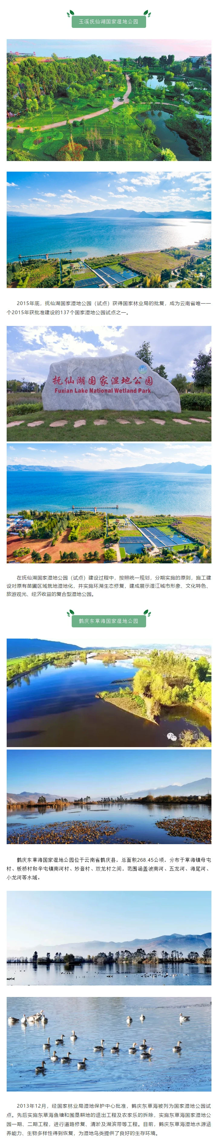 抚仙湖国家湿地公园