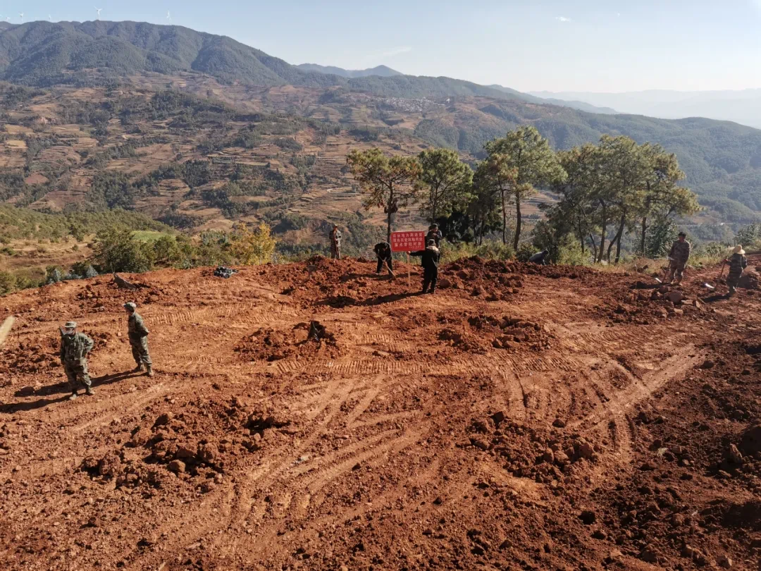 重拳出击!巍山县多个乡镇整治乱占林地建房行为