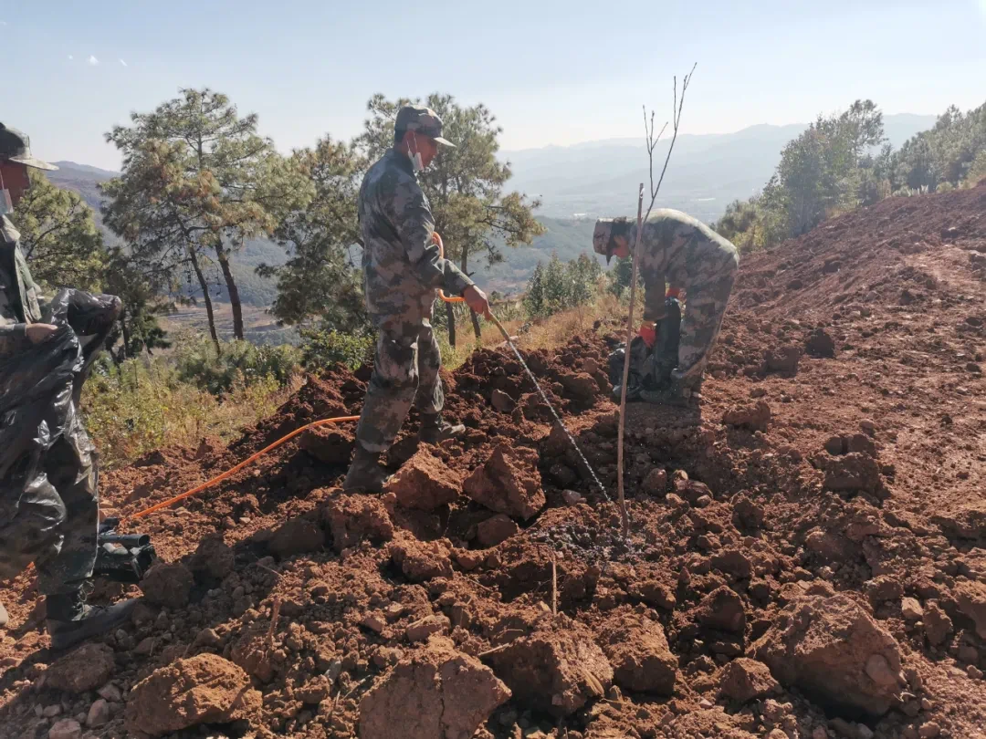 重拳出击!巍山县多个乡镇整治乱占林地建房行为