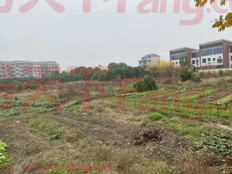 衢江区大洲镇一地块将拍卖，建设住宅、超市、禅修公寓、文化艺术馆...