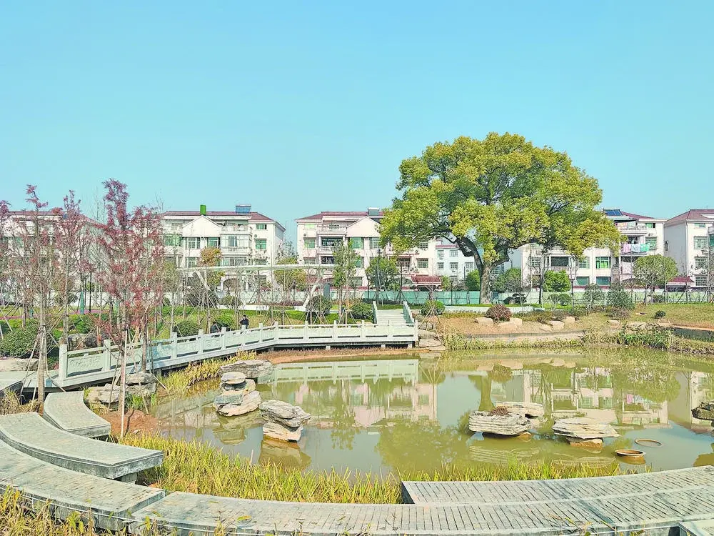 重磅！廿三里启动仿古商业街区建设、有机更新全覆盖规划……