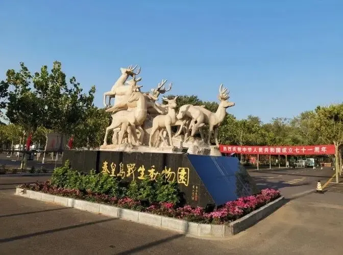 秦皇岛野生动物园2月26日起恢复开放-秦皇岛新房网-房天下