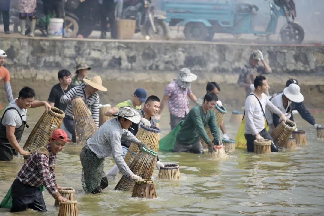 傣寨围鱼节嗨翻天，十斤重大鱼手到擒来