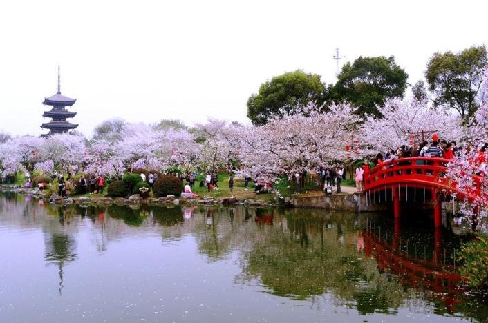 赏樱花、品美食、玩音乐、选好房、享优惠！2021武汉春季购房节即将盛大启幕！
